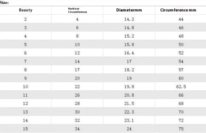 Stainless Steel Ring for Men